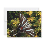 Butterfly invitations