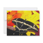 Butterfly invitations