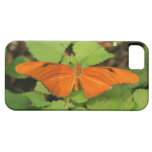 Butterfly  iPhone 5 Barely There Universal Case iPhone 5 Cases