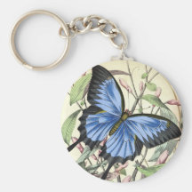 Butterfly Key Chains