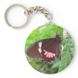 butterfly keychains