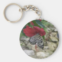 Butterfly keychain