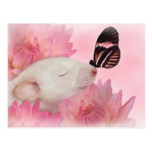 Butterfly Kisses Postcard