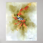 Butterfly Koi Fish Print
