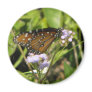 Butterfly lands on a Flower Refrigerator Magnet
