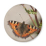 Butterfly Magnet