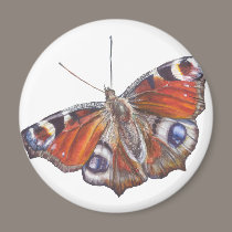 Butterfly magnets