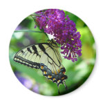 Butterfly Magnet