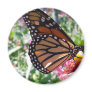 butterfly refrigerator magnet