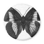 Butterfly Magnets