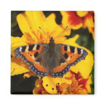Butterfly Magnet