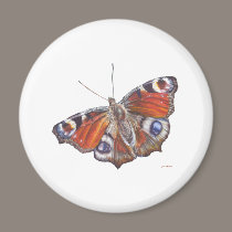 Butterfly magnets