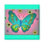 Butterfly magnets