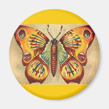Butterfly Magnet