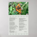 Butterfly Motivational Desiderata Poster posters