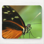 Butterfly Mouse Mouse Mats
