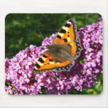 Butterfly mousepads