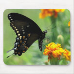 Butterfly Mousepad