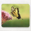 Butterfly Mousepad