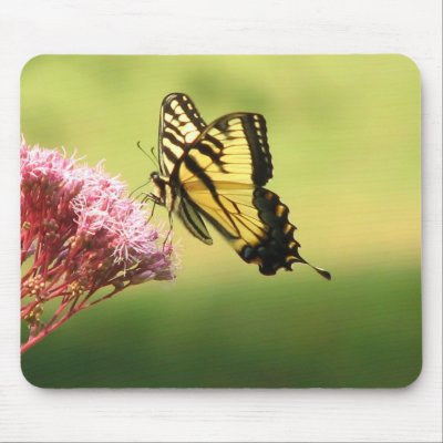 Butterfly Mousepad by sexycher