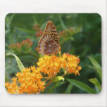 butterfly mousepads
