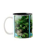 Butterfly mug