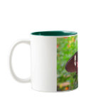 butterfly mugs
