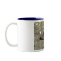 Butterfly mugs
