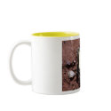 Butterfly Mug