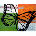 Butterfly Nature photo sculptures
