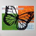 Butterfly Nature posters
