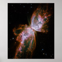Butterfly Nebula Print posters