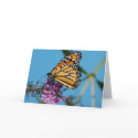 Butterfly Note Cards
