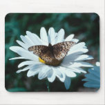 Butterfly on a daisy 1 mouse mats