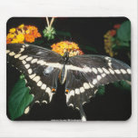 Butterfly on a flower mousepads