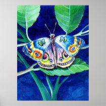 Butterfly on a Leaf Posters