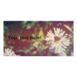 Butterfly on a white flower photo cards