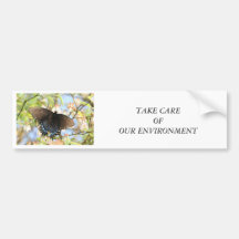 Butterfly on Blueberry Bush Bumper Stickers