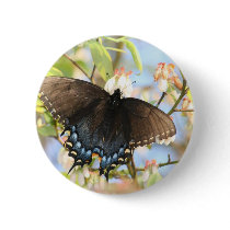 Butterfly on Blueberry Bush Button