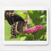 Butterfly on daisy mouse pad