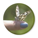 butterfly on finger magnet