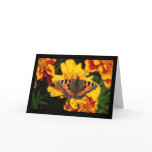 Butterfly on Flower Note Card