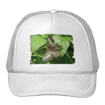 Butterfly on Leaf Baseball Hat