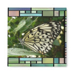 Butterfly on Leaf magnets