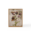 Butterfly on Plant Note Card