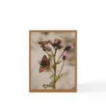 Butterfly on Plant Note Card