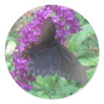 Butterfly on purple butterfly bush IMG_1350 Round Stickers