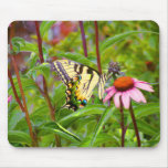 Butterfly on Purple Coneflower mousepads