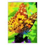 Butterfly on Salvia