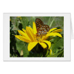 Butterfly on Sunflower Greeting Cards